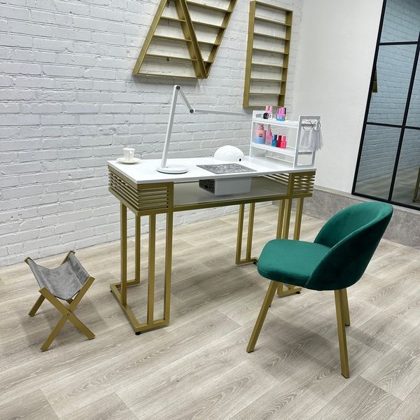 Комплект меблів для манікюру CM Premium-09а MK_cm_premium_09а фото