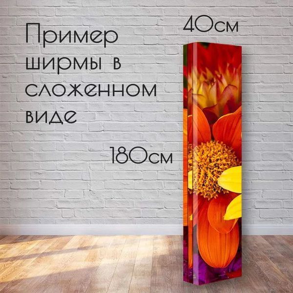 Ширма Golden Chic BB_golden_chic фото